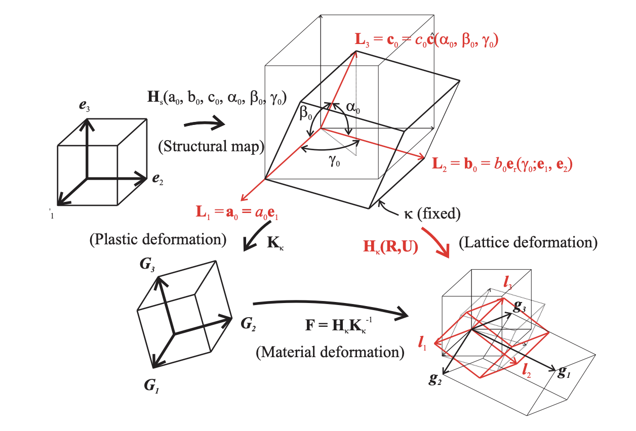Simulations