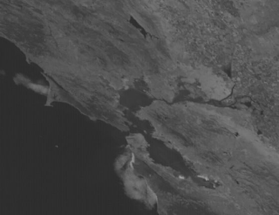 Raw greyscale satellite frame of the San Francisco Bay Area, tilted as the satellite sees it.
